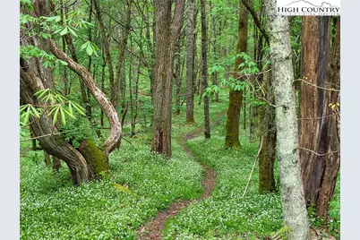 217 Rainbow Ridge Road, Zionville, NC 28698 - Photo 40