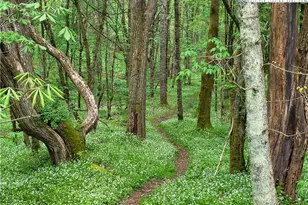 217 Rainbow Ridge Rd, Zionville, NC 28698 - Photo 40