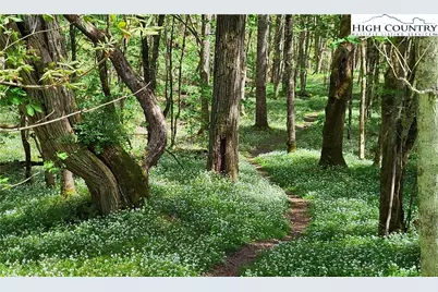 217 Rainbow Ridge Road, Zionville, NC 28698 - Photo 42