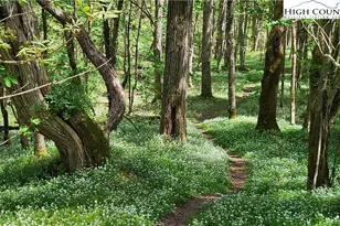 217 Rainbow Ridge Rd, Zionville, NC 28698 - Photo 42