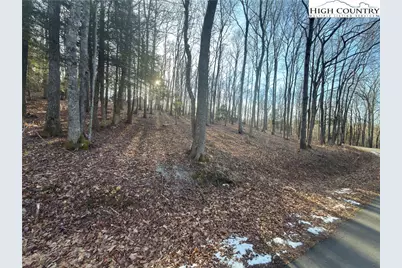 Tbd Linwood Lane, Newland, NC 28657 - Photo 4