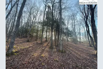 Tbd Linwood Lane, Newland, NC 28657 - Photo 1