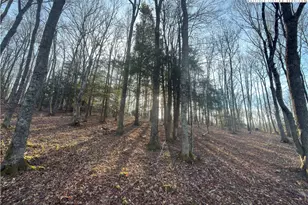 Tbd Linwood Ln, Newland, NC 28657 - Photo 1