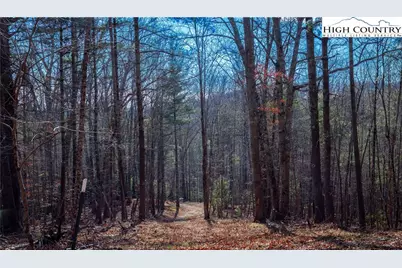 Tbd Railroad Grade Road, Fleetwood, NC 28626 - Photo 4