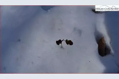 Tbd Nile Road, Sparta, NC 28675 - Photo 8