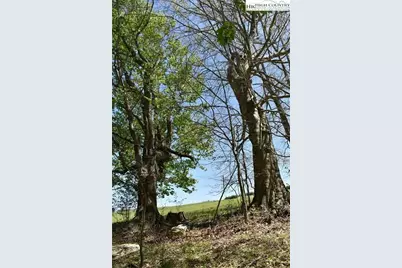 Tbd Nile Road, Sparta, NC 28675 - Photo 2