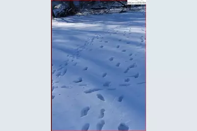 Tbd Nile Road, Sparta, NC 28675 - Photo 6