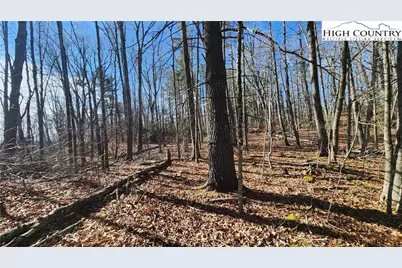 Tbd Chinquapin Springs, Newland, NC 28657 - Photo 4