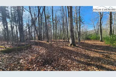 Tbd Chinquapin Springs, Newland, NC 28657 - Photo 6