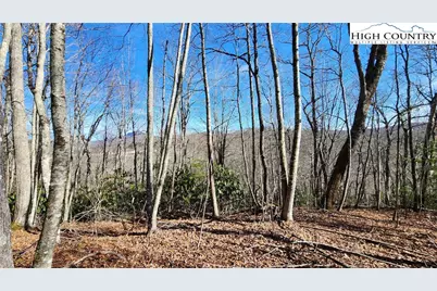 Tbd Chinquapin Springs, Newland, NC 28657 - Photo 1