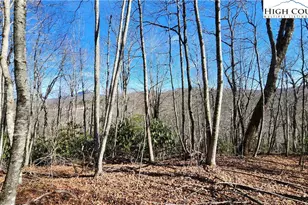 Tbd Chinquapin Springs, Newland, NC 28657 - Photo 1