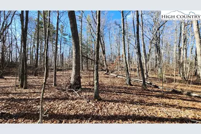 Tbd Chinquapin Springs, Newland, NC 28657 - Photo 10