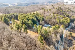 1324 Ripshin Rd, Troutdale, VA 24378 - Photo 10