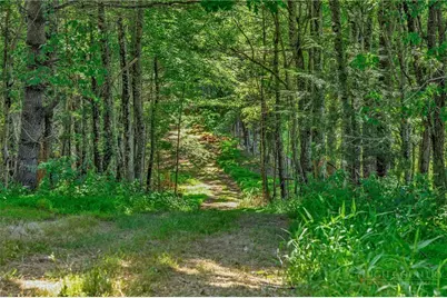 1324 Ripshin Road, Troutdale, VA 24378 - Photo 38