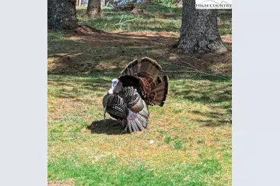 1324 Ripshin Road, Troutdale, VA 24378 - Photo 44