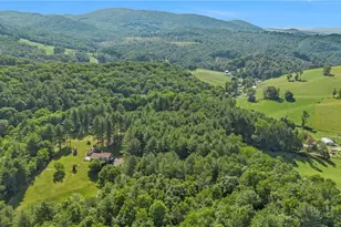 1324 Ripshin Rd, Troutdale, VA 24378 - Photo 46