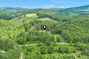 1324 Ripshin Rd, Troutdale, VA 24378 - Photo 44