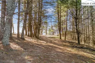 1324 Ripshin Rd, Troutdale, VA 24378 - Photo 14