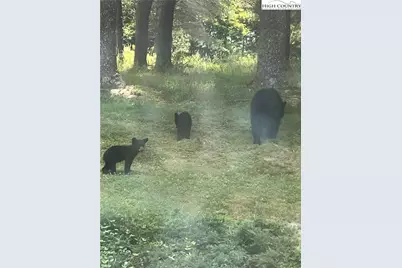 1324 Ripshin Road, Troutdale, VA 24378 - Photo 42