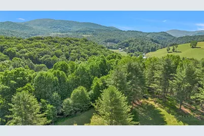 1324 Ripshin Road, Troutdale, VA 24378 - Photo 48