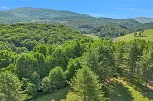 1324 Ripshin Rd, Troutdale, VA 24378 - Photo 48