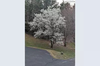 1324 Ripshin Road, Troutdale, VA 24378 - Photo 46