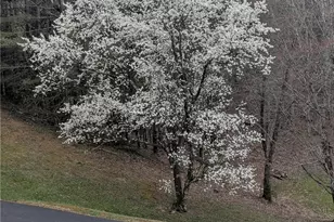 1324 Ripshin Rd, Troutdale, VA 24378 - Photo 46