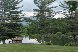 407 Ashe Park Rd, Jefferson, NC 28640 - Photo 38