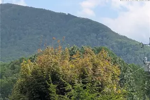 407 Ashe Park Rd, Jefferson, NC 28640 - Photo 32