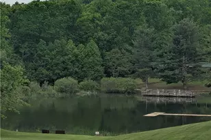 407 Ashe Park Rd, Jefferson, NC 28640 - Photo 42