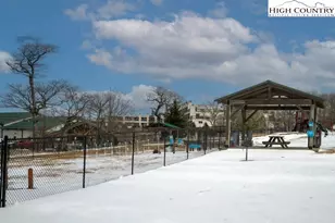 301 Pinnacle Inn Rd, Beech Mountain, NC 28604 - Photo 28