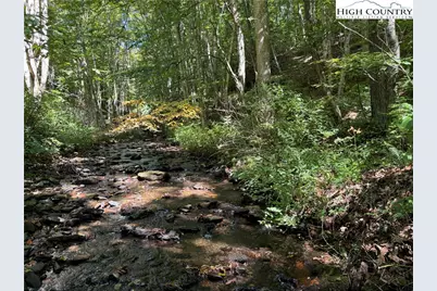 321 Skin Camp Creek Road, Todd, NC 28684 - Photo 22