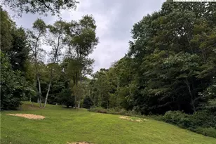 321 Skin Camp Creek Rd, Todd, NC 28684 - Photo 28