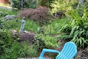1694 Humpback Mountain Rd, Spruce Pine, NC 28777 - Photo 24