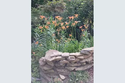 1694 Humpback Mountain Road, Spruce Pine, NC 28777 - Photo 26