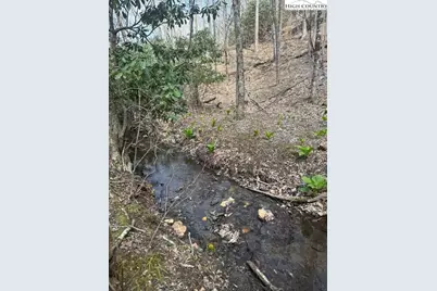 Tbd Bald Mountain Road, West Jefferson, NC 28694 - Photo 2