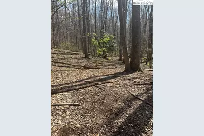 Tbd Bald Mountain Road, West Jefferson, NC 28694 - Photo 14