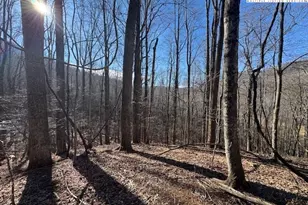 Tbd Bald Mountain Rd, West Jefferson, NC 28694 - Photo 1