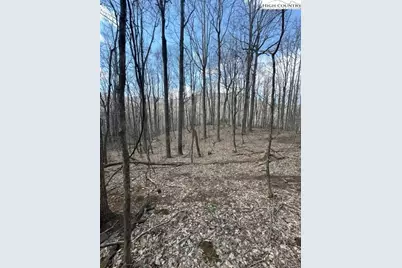 Tbd Bald Mountain Road, West Jefferson, NC 28694 - Photo 10