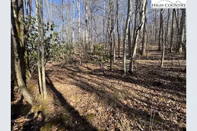 Tbd Bald Mountain Road, West Jefferson, NC 28694 - Photo 4