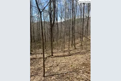 Tbd Bald Mountain Road, West Jefferson, NC 28694 - Photo 12