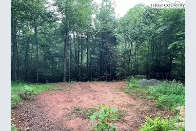 Tbd Staghorn Road, Purlear, NC 28665 - Photo 18