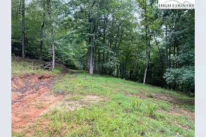 Tbd Staghorn Road, Purlear, NC 28665 - Photo 10