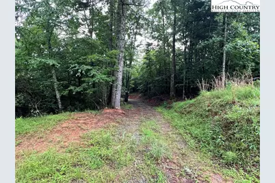 Tbd Staghorn Road, Purlear, NC 28665 - Photo 20
