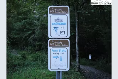 Tbd Staghorn Road, Purlear, NC 28665 - Photo 42