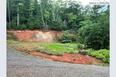 Tbd Staghorn Road, Purlear, NC 28665 - Photo 22