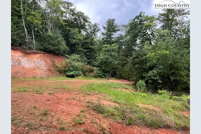 Tbd Staghorn Road, Purlear, NC 28665 - Photo 24