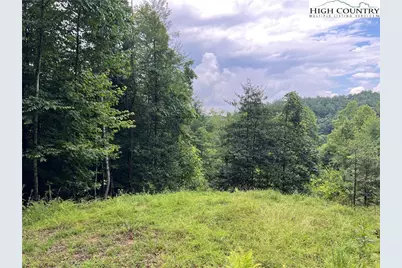 Tbd Staghorn Road, Purlear, NC 28665 - Photo 6