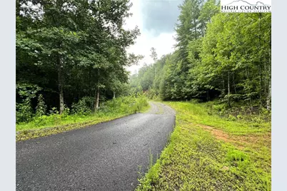 Tbd Staghorn Road, Purlear, NC 28665 - Photo 4