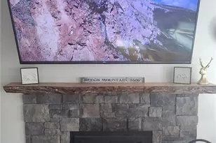 301 Pinnacle Inn Rd, Beech Mountain, NC 28604 - Photo 8